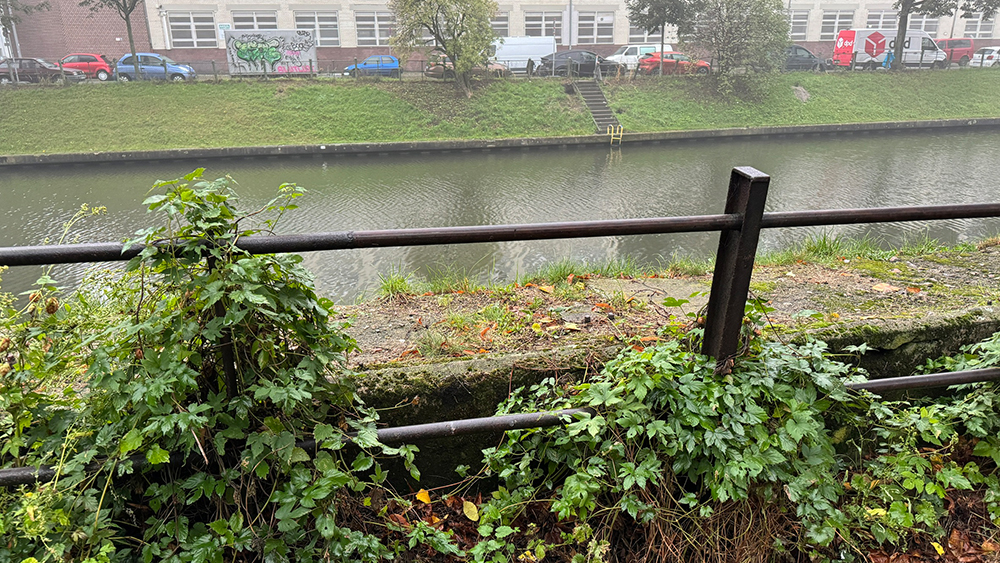 Herbstbild